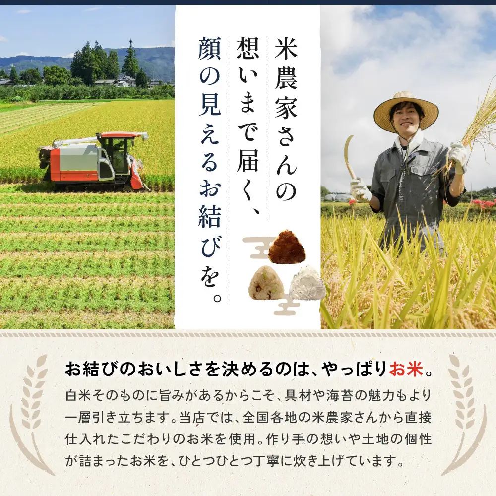 南知多産しらすをふんだんに使った「贅沢しらすむすび（10個入り）| おにぎり専門店 四代目お結び屋  冷凍おにぎり 産地直送