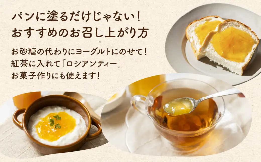 国産 手作りジャム3点セット Aセット いちじく うめ 甘夏 梅  ウメ 無添加 手造り てづくり 手作り ジャム フルーツ 果物