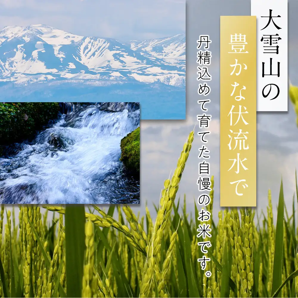 令和7年産 ゆめぴりか精米9kg(3kg×3袋) ゆめぴりか _05904
