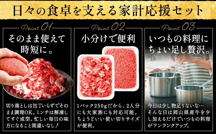 【6ヶ月定期便】岡山県産牛 切り落とし ミンチ セット 1kg×6回 牛肉 ミンチ