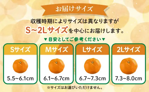 かねひろの黒酢みかん【10kg S～2L サイズ別】先行予約《11月下旬～1月上旬頃発送予定》温州みかん ふるさと納税 みかん 10kg 大容量 フルーツ 甘い ジューシー 果物 蜜柑 お取り寄せ 農家直送 国産 九州 佐賀県 鹿島市 送料無料 B-911