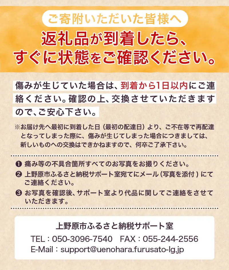 ★2026年先行予約★【関東甲信越エリア限定】＼季節限定／花ズッキーニ（16本入り）