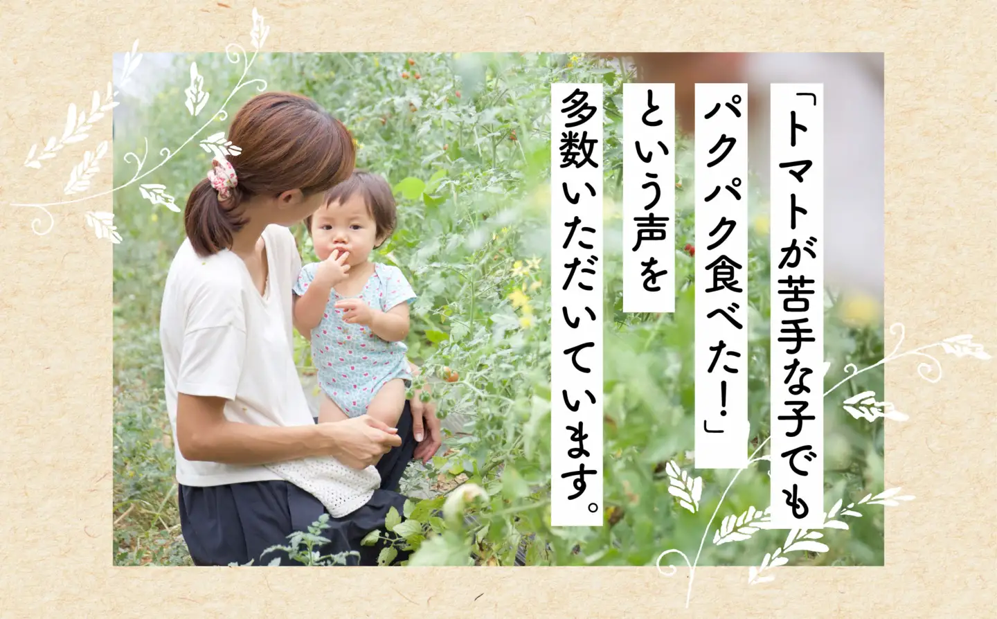 【3か月定期便】【日本一の栄養価】濃厚！有機ミニトマトの宝石箱1.1kg[計3.3kg]　【07208-0819】