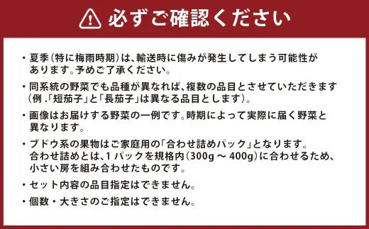 定番の野菜フルーツセット 6品目以上 ／ 旬 詰め合わせ 鮮度 季節 野菜 やさい 果物 くだもの 果実 フルーツ 定番 セット