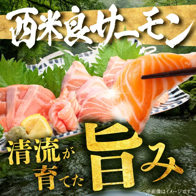 宮崎のおいしいお魚セット