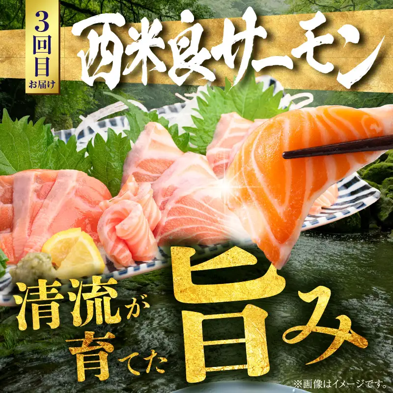 宮崎のおいしいお魚 3ヶ月定期便