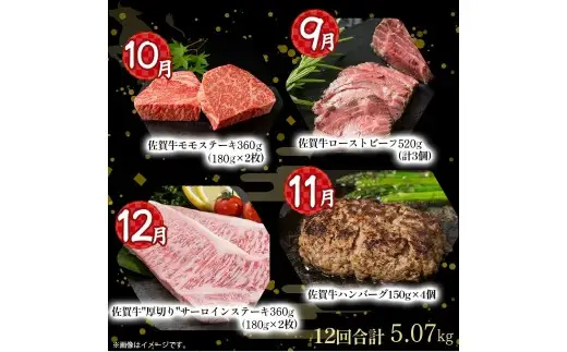  V11x1 佐賀牛 特選！12回定期便 佐賀牛 ブランド牛 国産牛 牛肉 肉 定期便 佐賀県 太良町