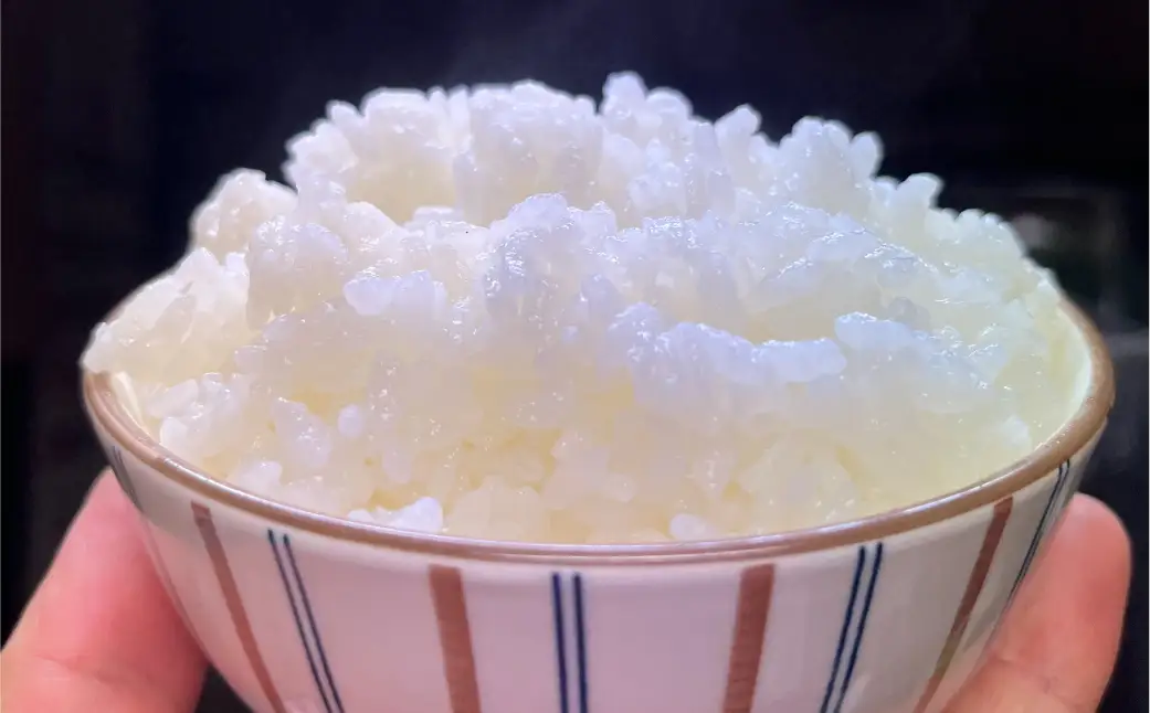 【令和7年産米】那須山麓ミネラル米　3kg ns130-002