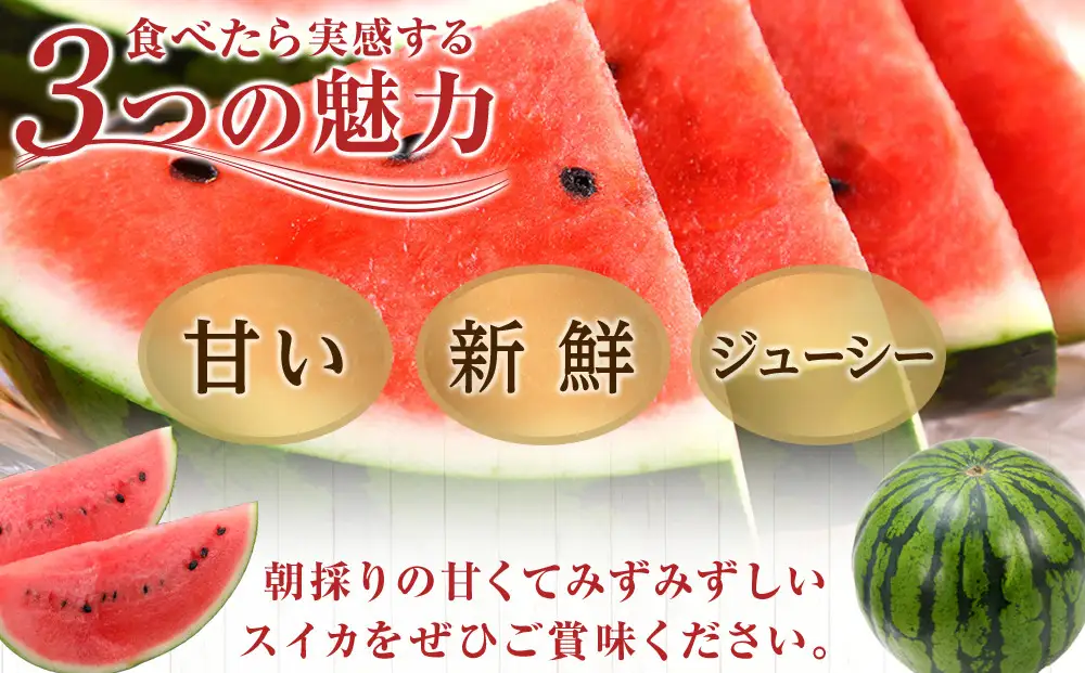 【先行予約】 朝採り！ 富山市婦中町特産「朝日すいか」１玉(約７～８kg)【2026年7月頃〜8月中旬頃まで順次発送】　産地直送 大玉