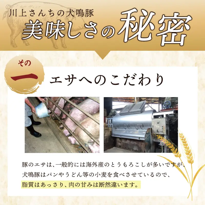 【泉佐野ブランド豚】犬鳴豚の手作りプレミアムハンバーグ（20個入り）×6回