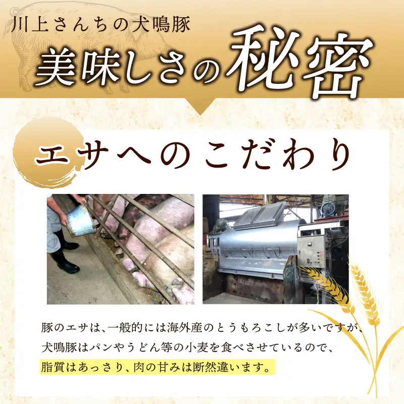 【泉佐野ブランド豚】犬鳴豚餃子 75個／手作りプレミアムハンバーグ（10個入り） 全2回