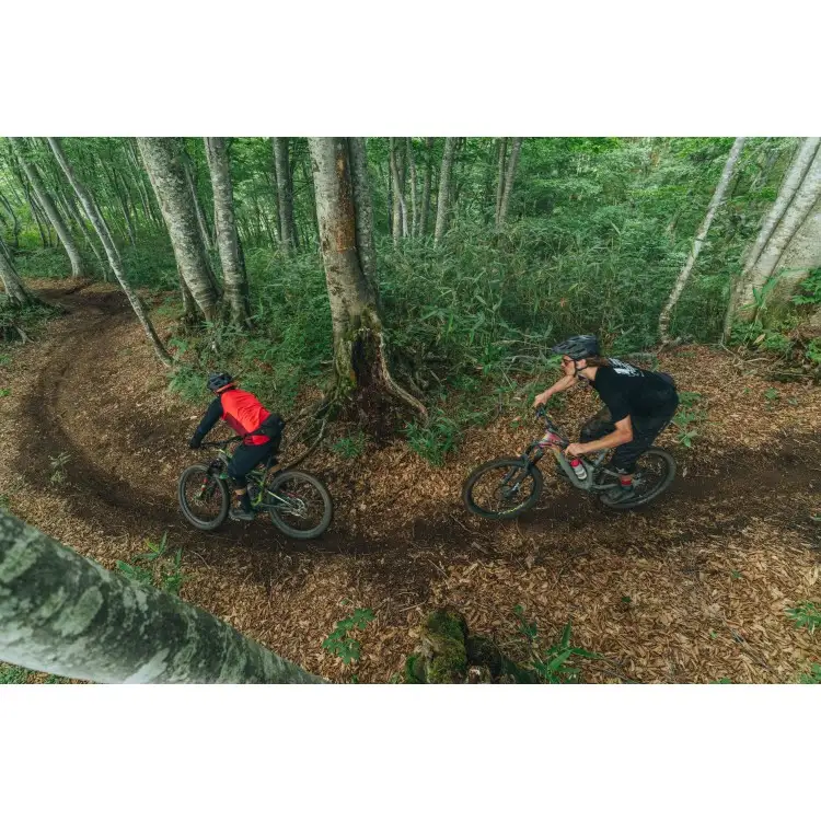 レンタサイクル1日利用 STANDARD BIKE FSR MTB Status/Stumpjunper（ヘルメット/プロテクター込み） MTB-1
