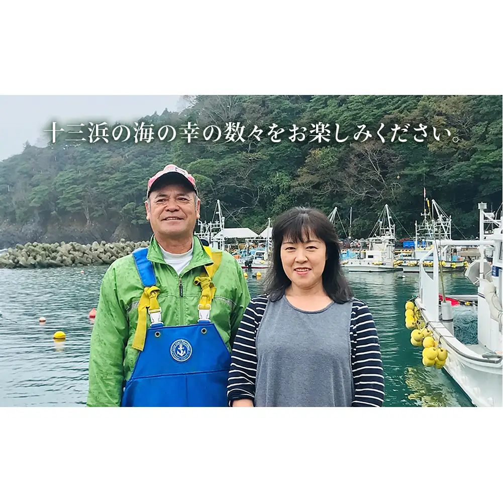 マルイチ西條水産の 塩蔵わかめ 5袋 セット わかめ ワカメ 肉厚 十三浜産 海藻 海鮮 海産物  みそ汁 サラダ 酢の物 宮城県 宮城 石巻市 石巻