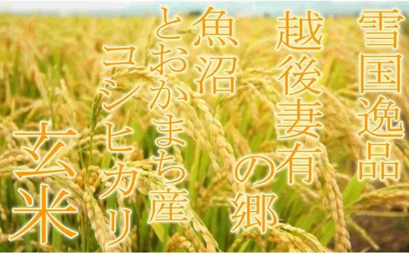 【令和8年産 先行予約】●定期便・玄米●【雪国逸品2kg×3ヶ月】 越後妻有の郷 魚沼十日町産コシヒカリ お米 ご飯 良質 ミネラル 極上 新鮮 香り つや 粘り