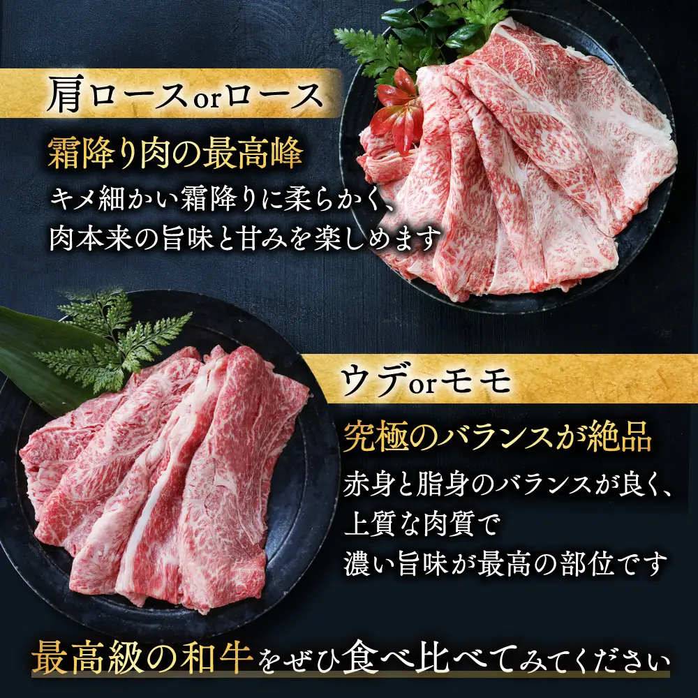 畜産農家応援! 宮崎牛スライス2種1kgセット(霜降り400g 赤身600g)≪みやこんじょ快速便≫〔19-N2-001-1kg-S4A6-R〕