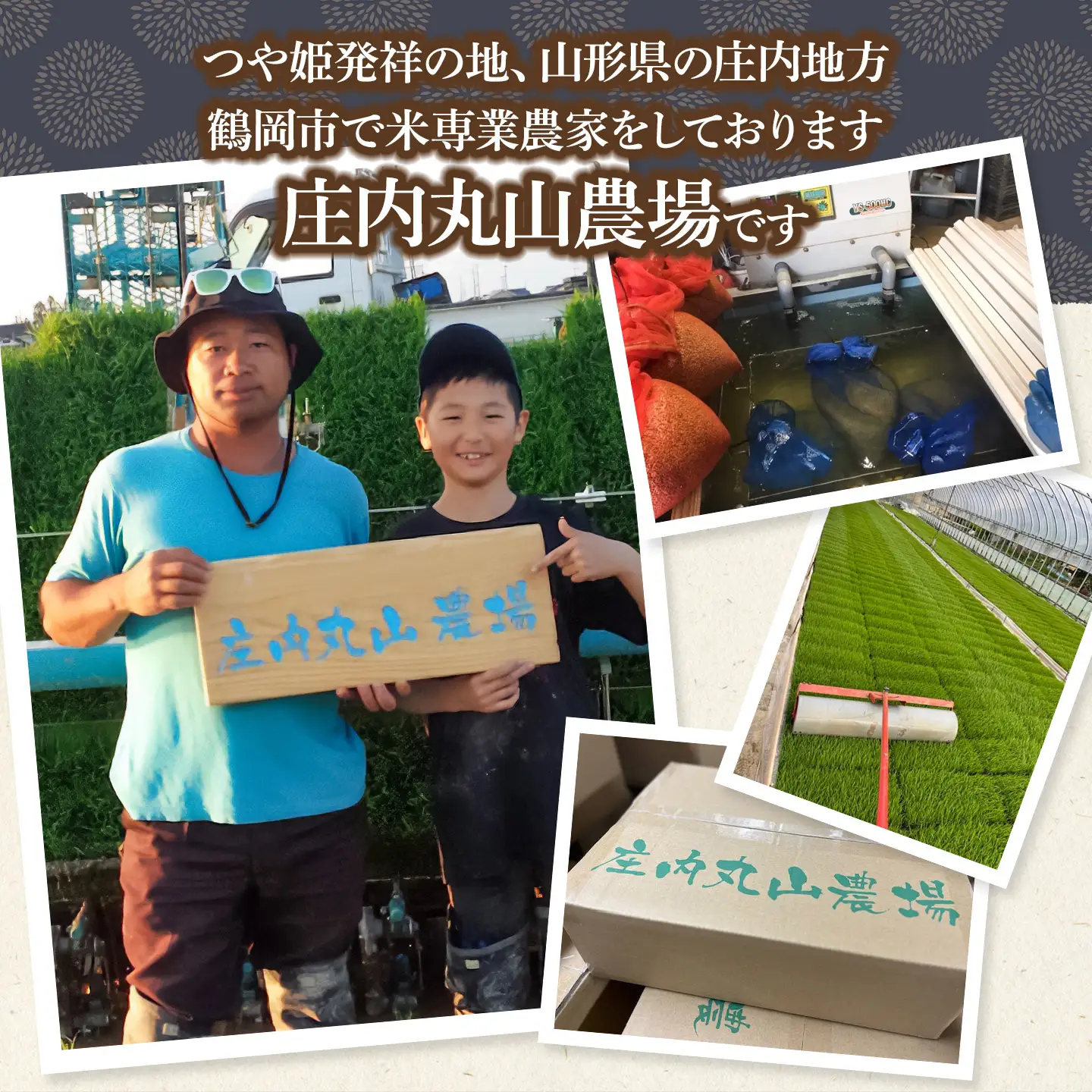 【令和7年産】にじのきらめき 精米 5kg　山形県鶴岡市　庄内丸山農場　| 5キロ 米どころ 庄内米 ブランド米 米 コメ こめ 精米 ご飯 ごはん 美味しい 大粒 お取り寄せ 農家直送 お弁当 おにぎり 東北 国産 おすすめ 人気 返礼品