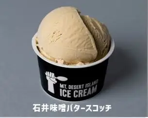 MDI 信州クラフトアイスクリーム１２個セット