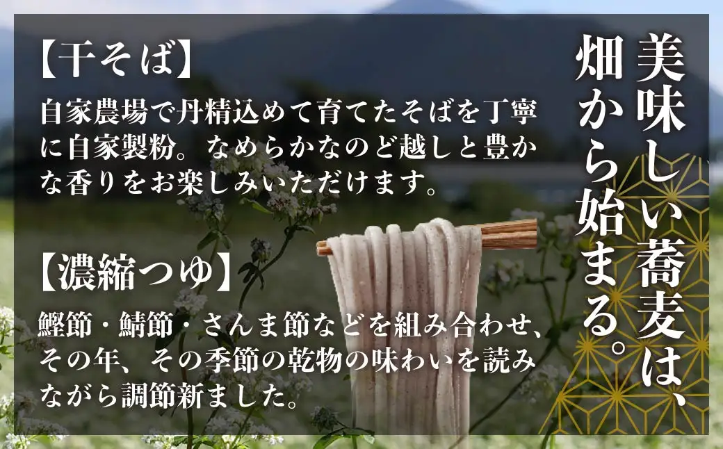 そば 濃縮つゆ付 200g×5把 そば