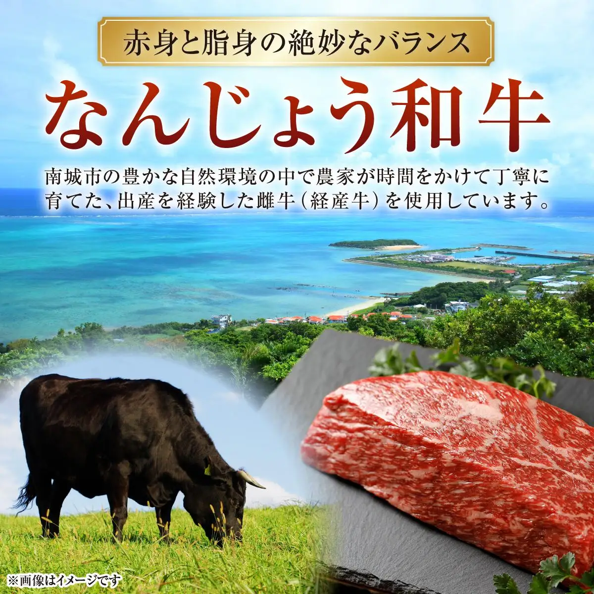 なんじょう和牛もも肉ブロック ローストビーフ用（250g×5）