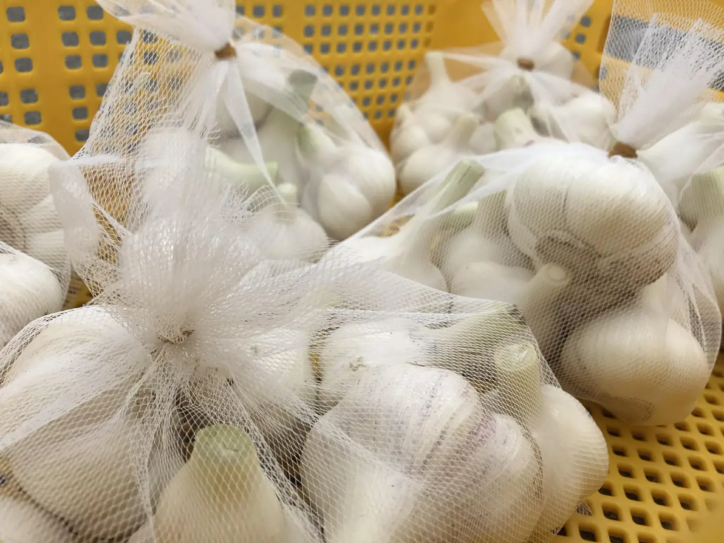 飛騨産 にんにく 1kg ニンニク【7月中旬から12月発送】水村農園