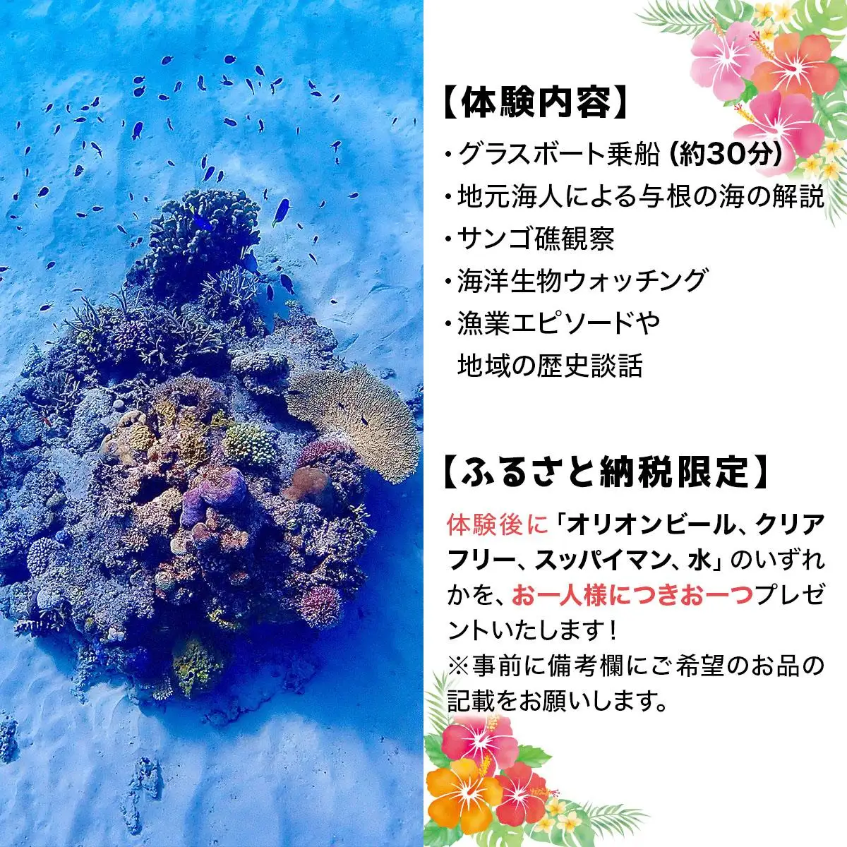 グラスボート体験 1名分