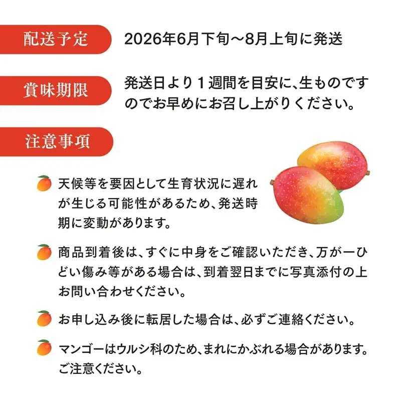 マンゴー 完熟 マンゴー[訳あり 宮崎 2L 2玉 古谷農園]