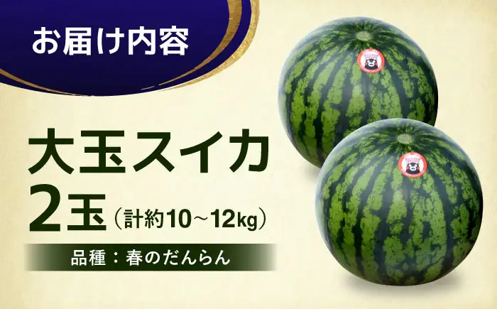 熊本県産 大玉 スイカ (2玉) 計約10〜12kg M、L階級　西瓜 すいか 春のだんらん【菊池地域農業協同組合】[AYBR008]