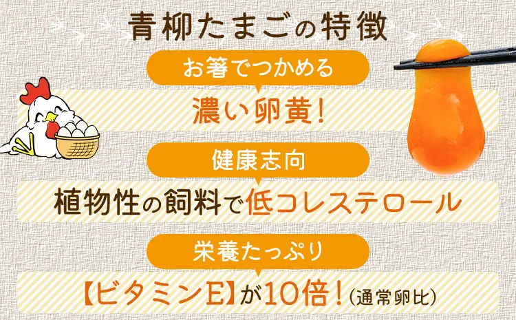 卵  青柳たまご 40個  卵 