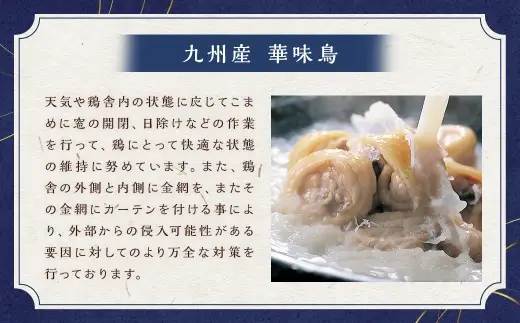 博多華味鳥水たきセット 柚胡椒付き （ 3～4人前 ） 鶏肉 ぽん酢 つくね 薬味 キャベツ 鍋 お鍋 冷凍 出汁 鍋料理 雑炊 スープ 水炊き