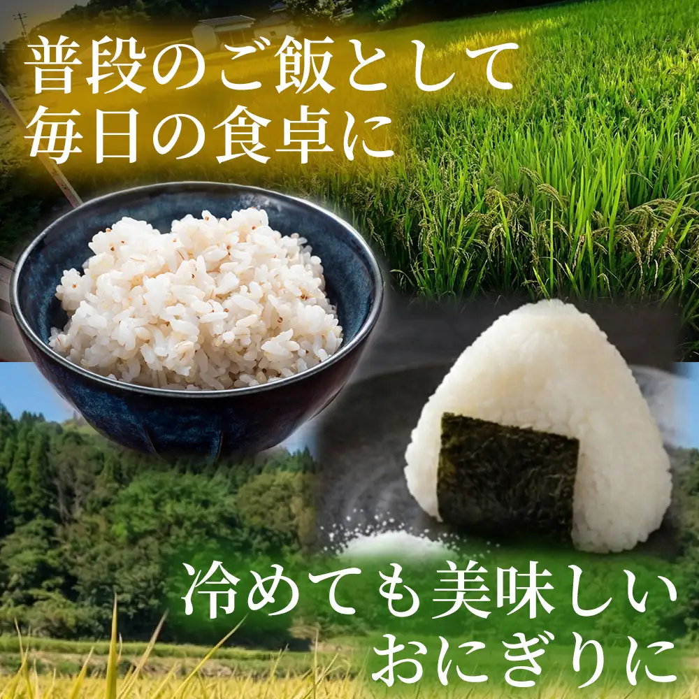 【先行受付】裸麦のキラリモチ 1kg 2026年7月以降発送予定 大麦 麦 麦ごはん ご飯 米 コメ お米 雑穀 健康 腸活 238016