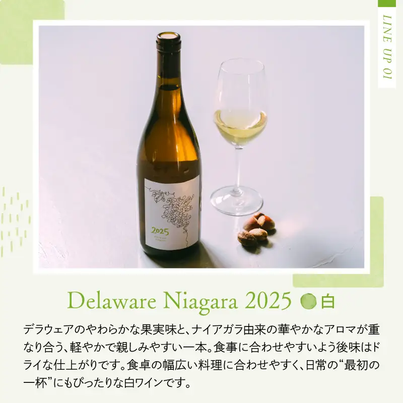 ワイン 2025 オレンジ白 2本飲み比べセット 各750ml ワイン