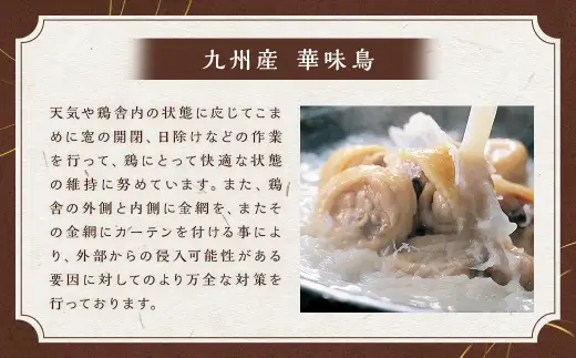 博多華味鳥もつ鍋セット （ 3～4人前 ） 牛小腸 鶏ハラミ キャベツ 麺 鍋 お鍋 冷凍 出汁 ちゃんぽん 鍋料理 ちゃんぽん麺 モツ鍋 もつ鍋 スープ 雑炊 鶏肉 ぽん酢 つくね