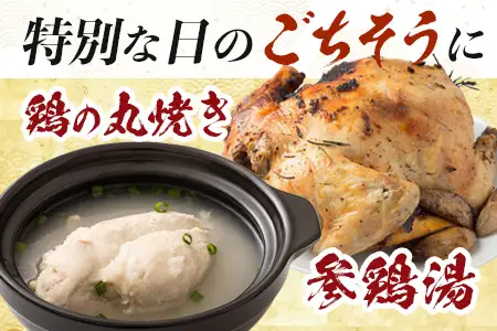 みやざき地頭鶏 1羽 中抜き 丸鶏 セット 冷凍｜鶏肉 地鶏 丸鶏 1羽まるごと ロースト チキン じとっこ 真空パック 興洋開発株式会社 宮崎県 諸塚村 KY-16