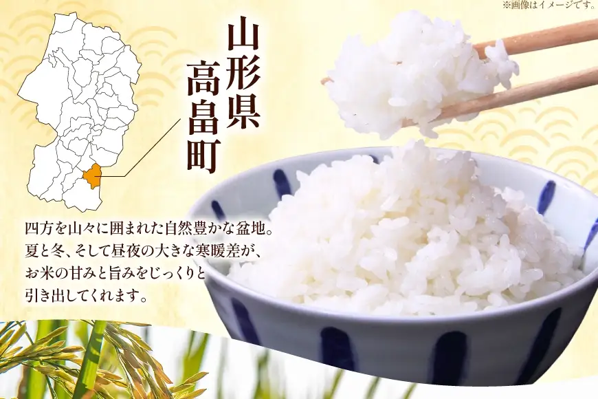 米 定期便 3回 令和8年産  雪若丸 10kg (5kg×2) [本田勇仁 山形県 高畠町 tk06bgj910003]