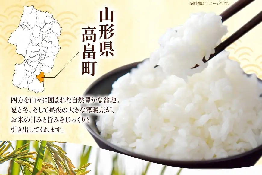 米 定期便 3回 令和8年産 特別栽培米 つや姫 10kg (5kg×2) [本田勇仁 山形県 高畠町 tk06bgj910007]