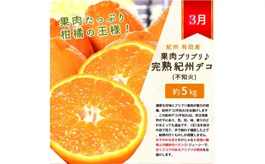 【発送月固定定期便】紀州和歌山産旬のフルーツセット(いちご4P・ポンカン・紀州デコ約5kg)全3回 【tkb450】