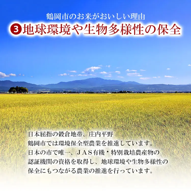 【令和7年産】 ササニシキ 精米 5kg (5kg×1袋)　山形県 庄内産　米食味鑑定士お薦め　| ささにしき 5キロ 米 お米 コメ 白米 食品 ご飯 ごはん 美味しい おいしい ブランド米 おすすめ 人気 山形県 鶴岡市 東北 国産 お取り寄せ 返礼品
