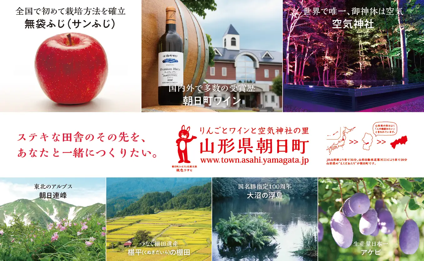 白桃 【 ご家庭用 訳あり 】 2kg 【2026年8月中旬発送】山形県 朝日町産 農家直送 山形産 家庭用 もも モモ 桃 ピーチ 果物 フルーツ 夏