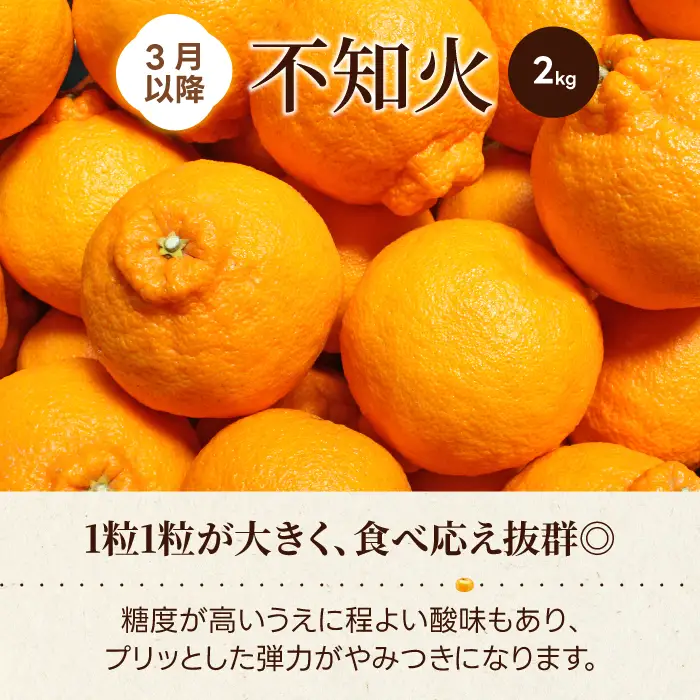【数量限定☆先行受付】柑橘食べ比べ定期便（3種）石地みかん・せとか 各2.5kg 不知火 2kg  フルーツ 果物 みかん しらぬい オレンジ デコポン 産地直送 ジューシー 人気 濃厚 T09