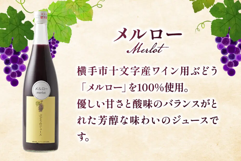 ぶどうジュース メルロー 720ml×2本