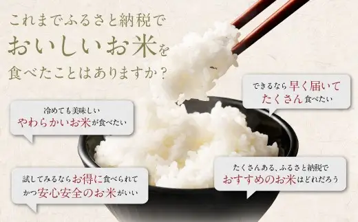【訳あり】阿蘇のお米 合計16kg (5kg×2袋+6kg×1袋) 【2026年7月発送】 精米 お米 米 おすすめ 人気 ランキング
