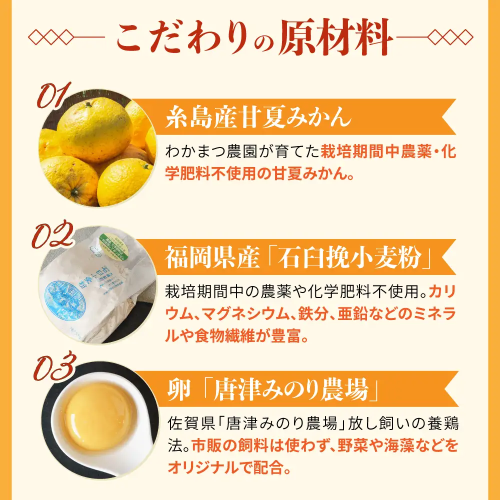 【お中元対象】糸島甘夏みかんロールケーキ 1本 糸島市 / わかまつ農園[AHB064]