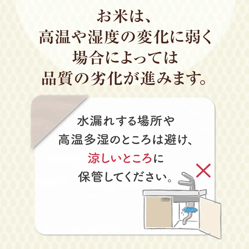 【4月以降順次発送】【数量限定】【令和7年産米】鳥取県産星空舞（5kg）パールライス 米 白米