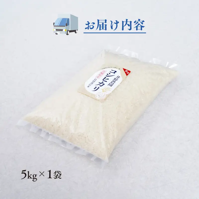 《令和8年度産 先行予約》【数量・期間限定】 井野農園のコシヒカリ お米 ご飯 ごはん おにぎり 