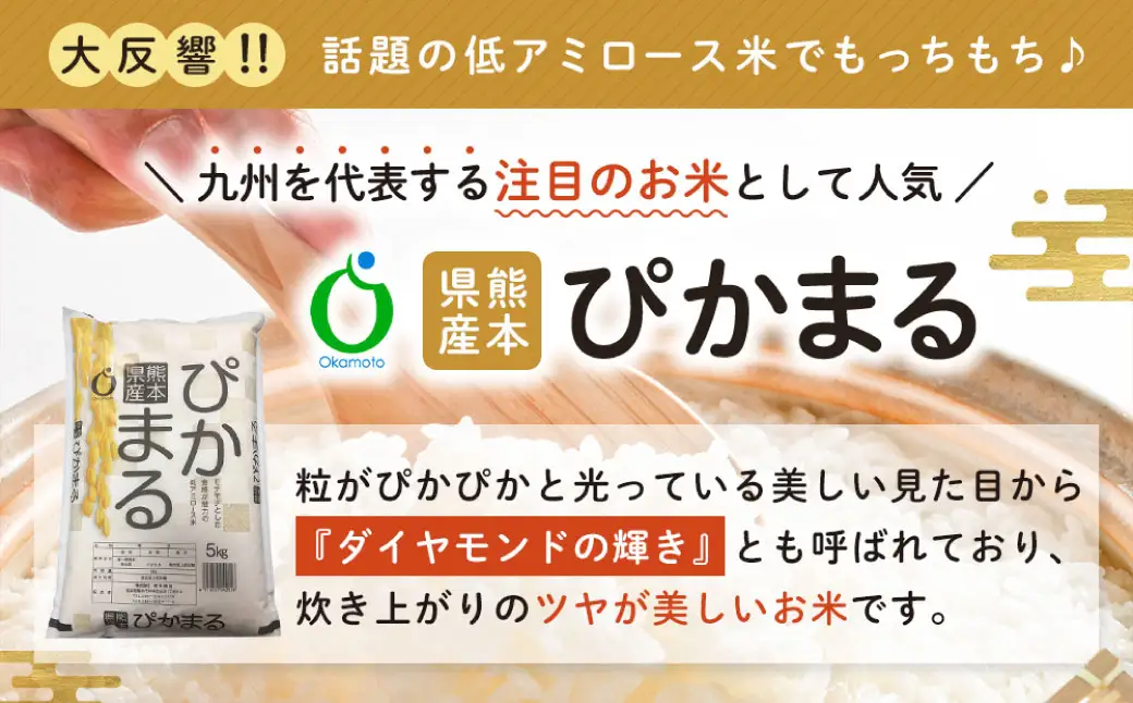 【令和7年産】 熊本県産お米食べ比べセット （ ぴかまる5kg ・ くまさんの輝き5kg各1袋ずつお届け ） 5kg×2袋 【2026年8月下旬迄順次発送予定】 お米 食べ比べ 粘り 食感 米 こめ コメ ご飯 白米 白飯 国産 熊本県産 料理