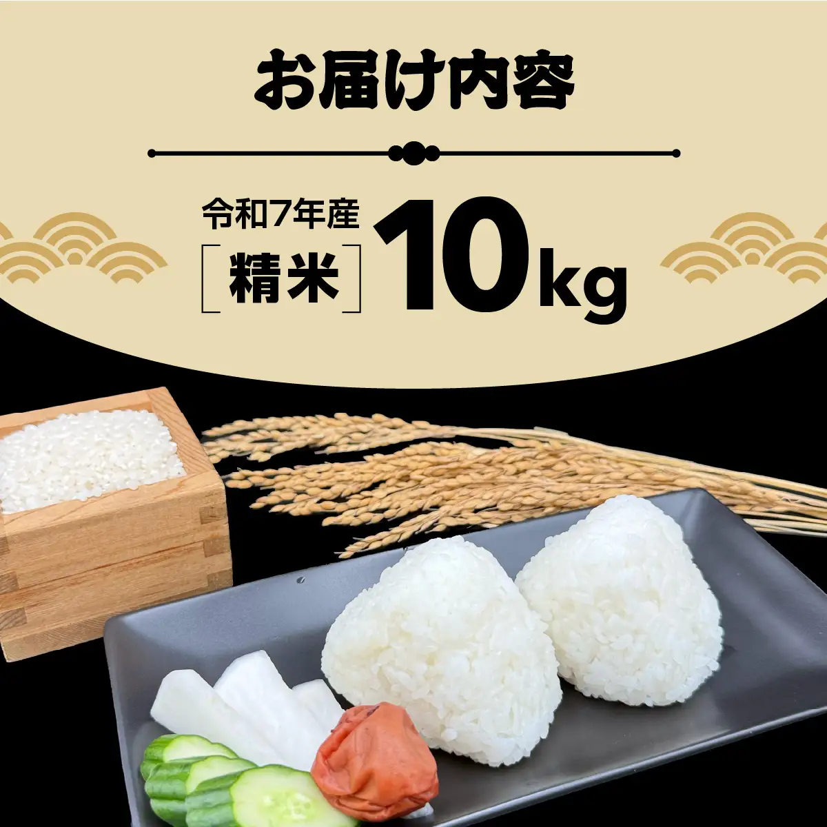 多古米 コシヒカリ 白米 精米 千葉県産 多古町 【配送不可地域：離島・沖縄県】TAKF036