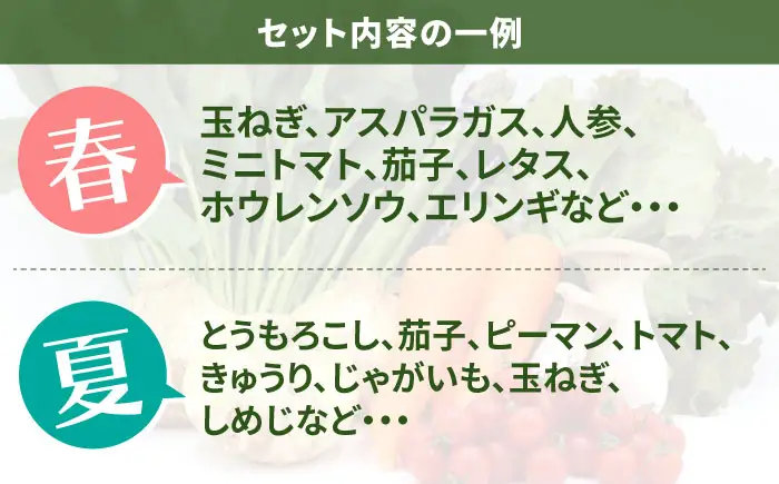【12回定期便】野菜定期便 8品目 [SCZ030]
