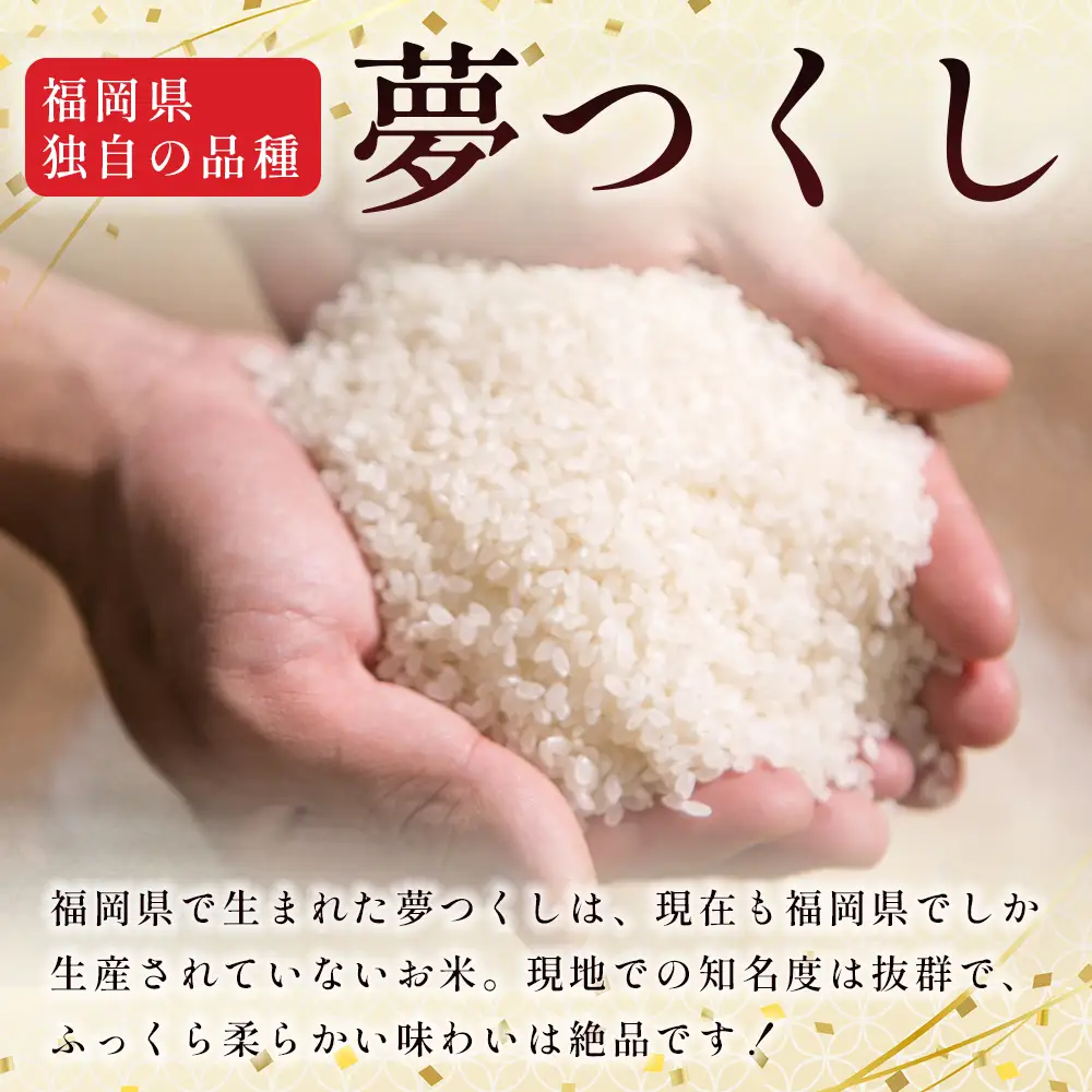 【10営業日以内に発送】 赤村産米 農家直送 【数量限定】 精米 夢つくし 5kg 4U2-S