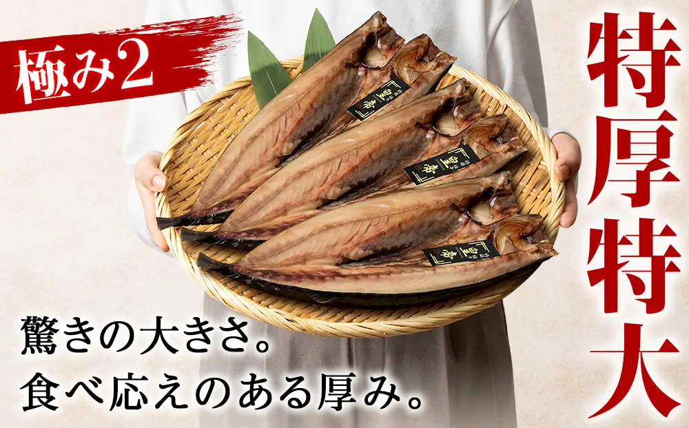 最高峰！皇帝とろさば 2枚 
