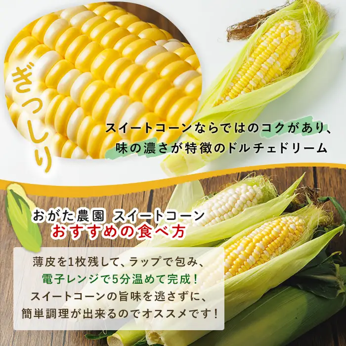 スイートコーン ドルチェドリーム (6本)【2026年7月下旬以降発送予定】 北海道産 北海道 士別市 バイカラー とうもろこし とうきび 野菜 産地直送 新鮮野菜 【おがた農園】【A7147】